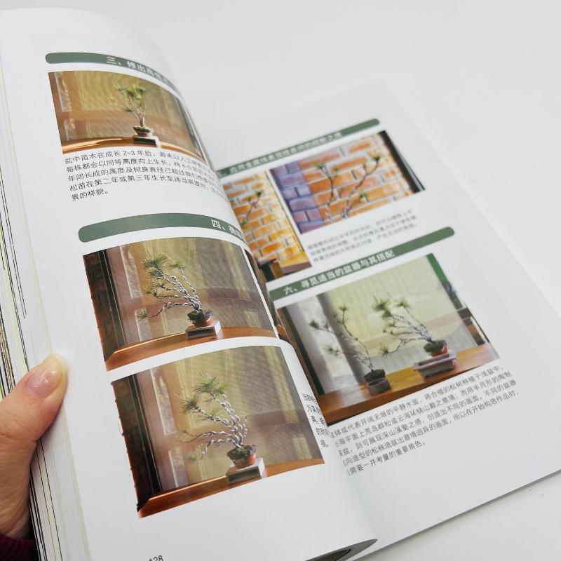 [醉染正版]图解五针松盆景制作技艺 刘立华 著 养花书籍高清大图