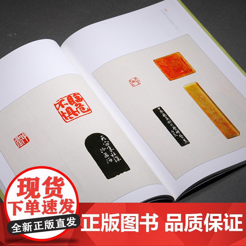 沙孟海篆刻名品 中国篆刻名品24 沙孟海印谱等精钤印谱为底本上海书画出版社书法艺术篆刻字帖鉴赏现代汉字印谱高像素原色精印高清大图