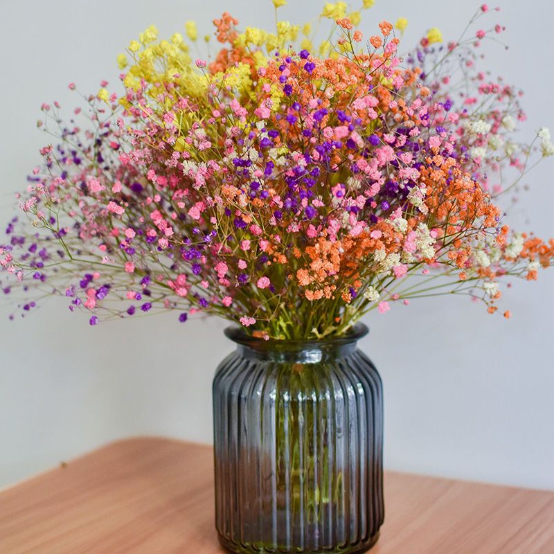 云南满天星干花真花花束鲜花批发风干家居装饰摆件客厅摆设插花