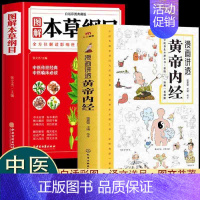 [2册]黄帝内经+本草纲目 [正版]漫画讲透黄帝内经 漫画版书籍白话文彩图儿童漫画版四季二十四节气养生大全书籍大全百
