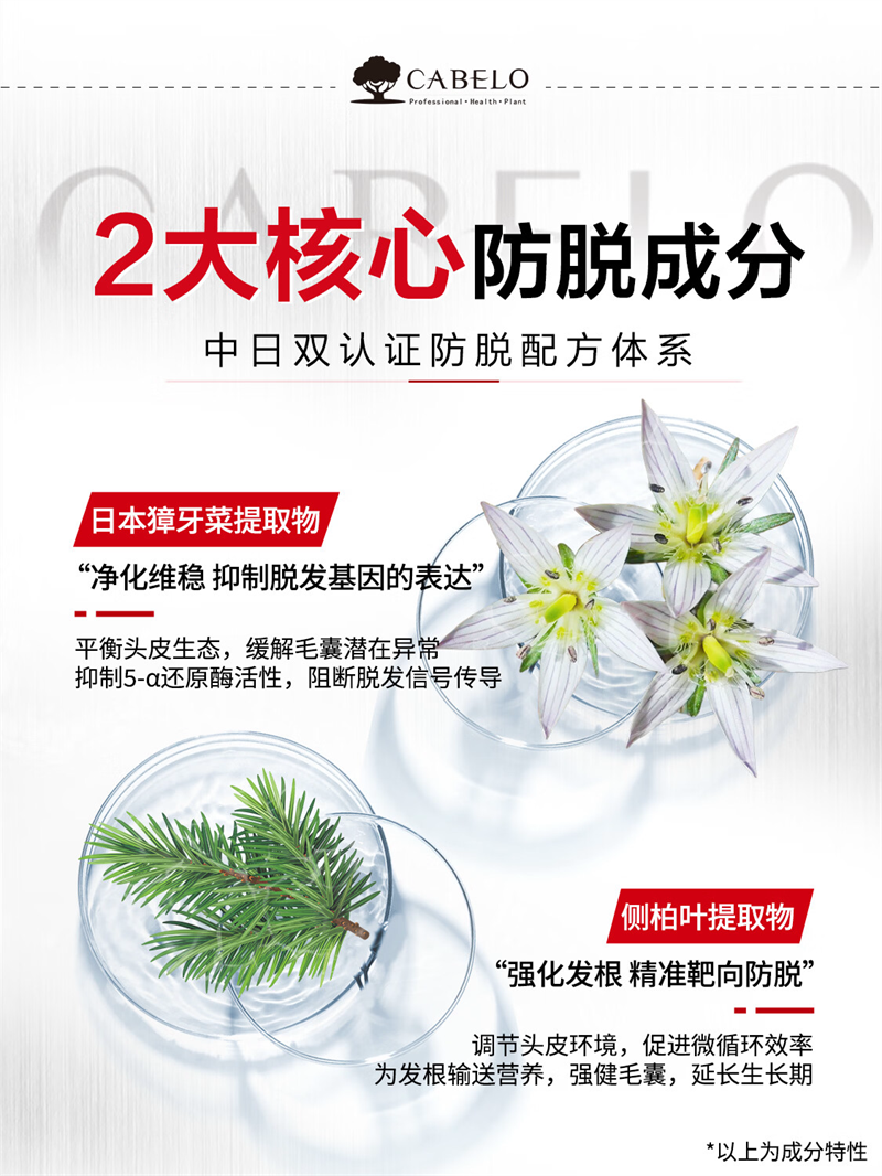 卡蓓诺防脱洗发水(男士专用)350mL 洗发水高清大图