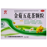 嘉应牌金菊五花茶颗粒10g*12袋/盒 咽痛湿热疼痛目赤