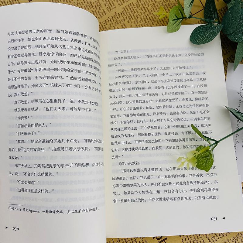 [醉染正版]向阳而生肖芭·拉奥普通大众长篇小说美国现代小说书籍高清大图