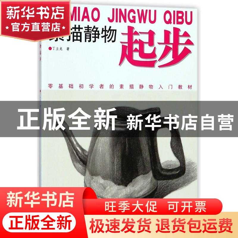 正版 素描静物起步 丁立龙著 中国纺织出版社 9787518047222 书籍