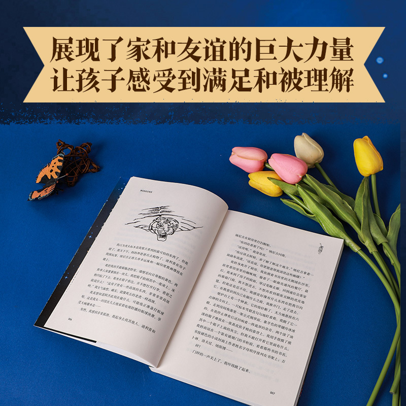 神奇的虎皮地毯 [正版]7-14岁神奇的虎皮地毯 琼海格著 2021年卡内基文学奖和人民图书奖提名 面临危境时我们保有的