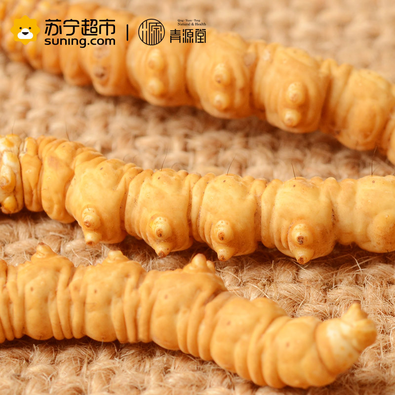 青源堂 冬虫夏草 0.5克/条 40条装 20克 新鲜冬虫夏草青海玉树高海拔雪山虫草正品 可泡酒泡水