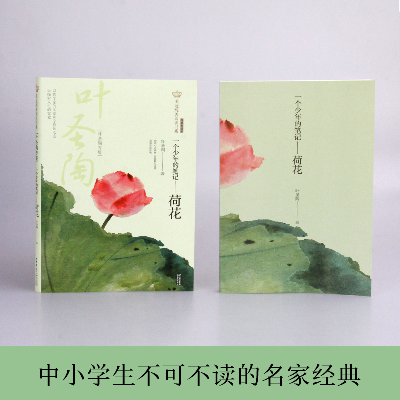 荷花 [正版] 荷花专集/美冠纯美阅读书 少儿文学 课外阅读 童书 7-10岁 同心出版社