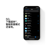 Apple iPhone 12 Pro Max 256G 石墨色 移动联通电信5G全网通手机