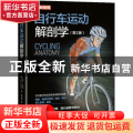 自行车运动解剖学