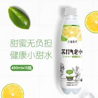 天地精华 苏打水 饮料 气泡水卡曼橘味480ml*15瓶 汽水 0糖0脂0卡饮料整箱装 小瓶装饮用水