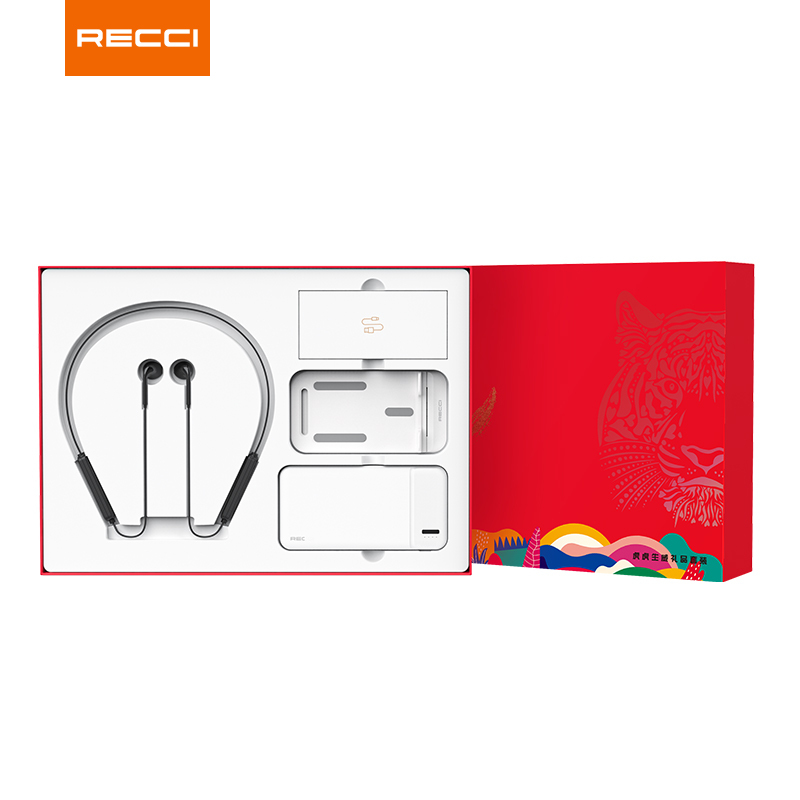 锐思(Recci)VIP礼品套装 RGB-N10