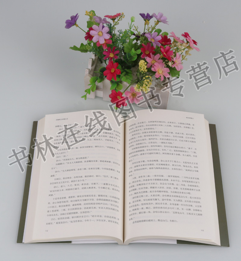 [正版]苏曼殊文学精品选潮音燕子龛随笔南洋话讨袁宣言华洋义赈会观等诗歌集散文小说书信近现代文学名家作品集书籍 现代出版社高清大图