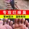 初步患者1套装 脚臭脚汗脚气王烂脚丫脚痒去水泡脚除臭包脱皮糜烂神器脚气膏克星