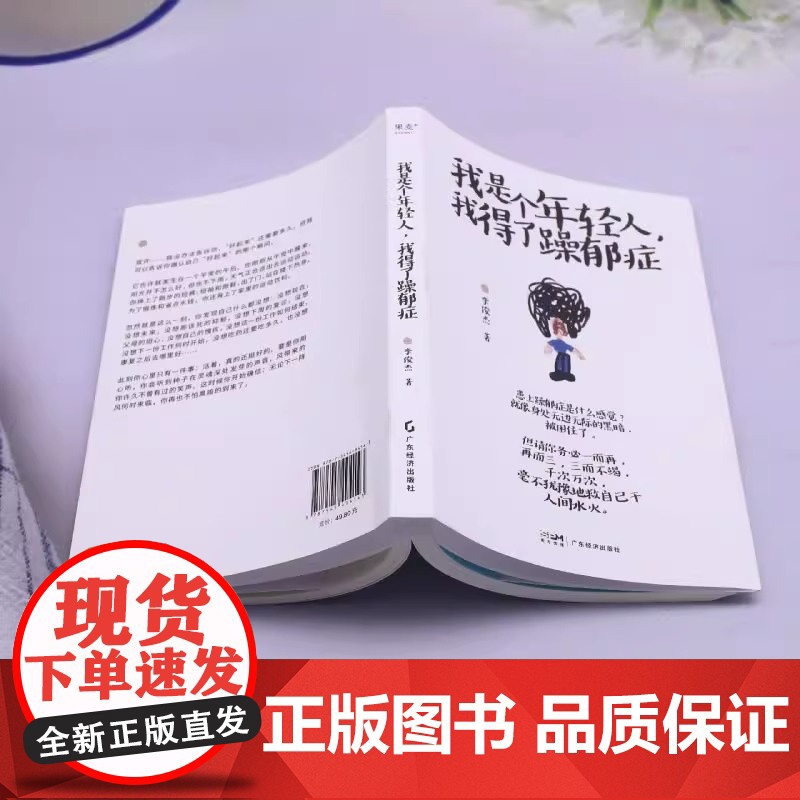 我是个年轻人,我得了躁郁症 中科院心理研究所教授陈祉妍倾情作序 一部躁郁症患者康复手记,只有直面它,才能战胜它,拯救自己高清大图