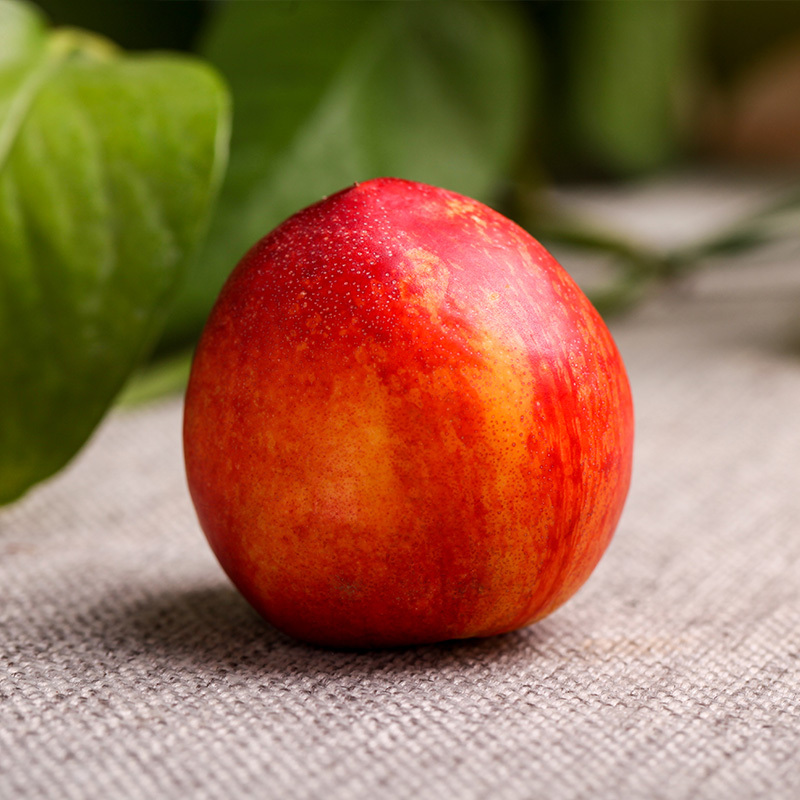 【靓果汇】【顺丰派送】攀枝花露天黄心油桃5斤(精选大果)精品包装 脆