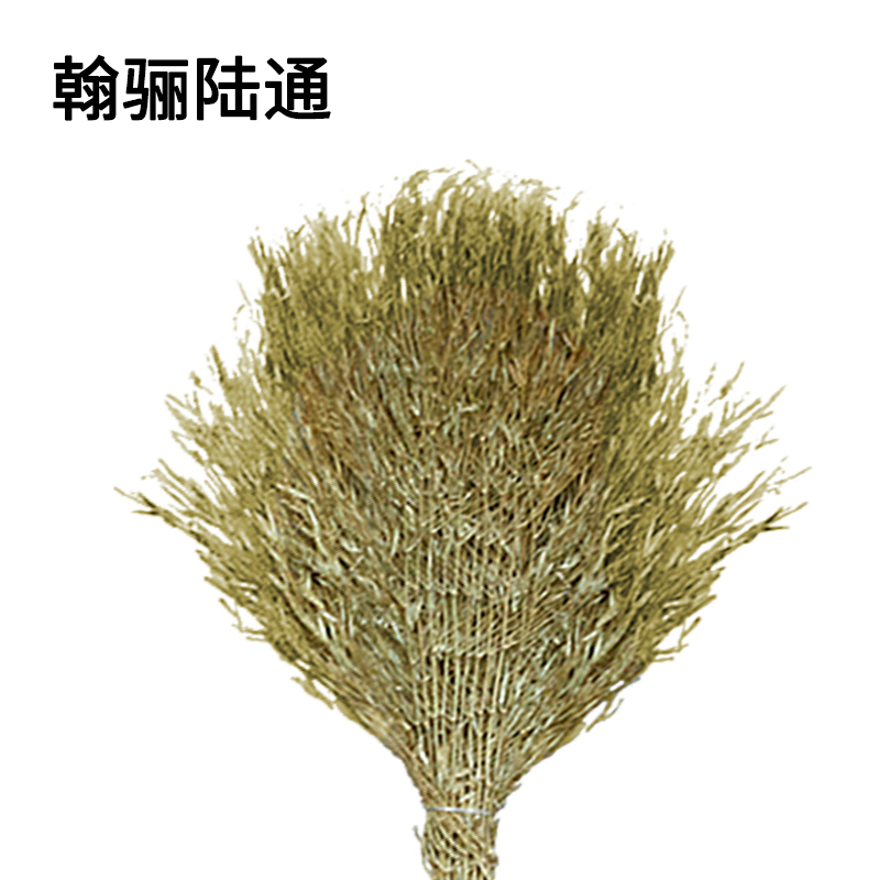 翰骊陆通 小竹扫把 SZ-2 把高清大图