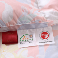 梦洁(MENDALE)家纺90%鹅绒被双层羽绒防螨被芯磨毛印花面料加厚保暖冬被子斜纹几何抽象图案花色