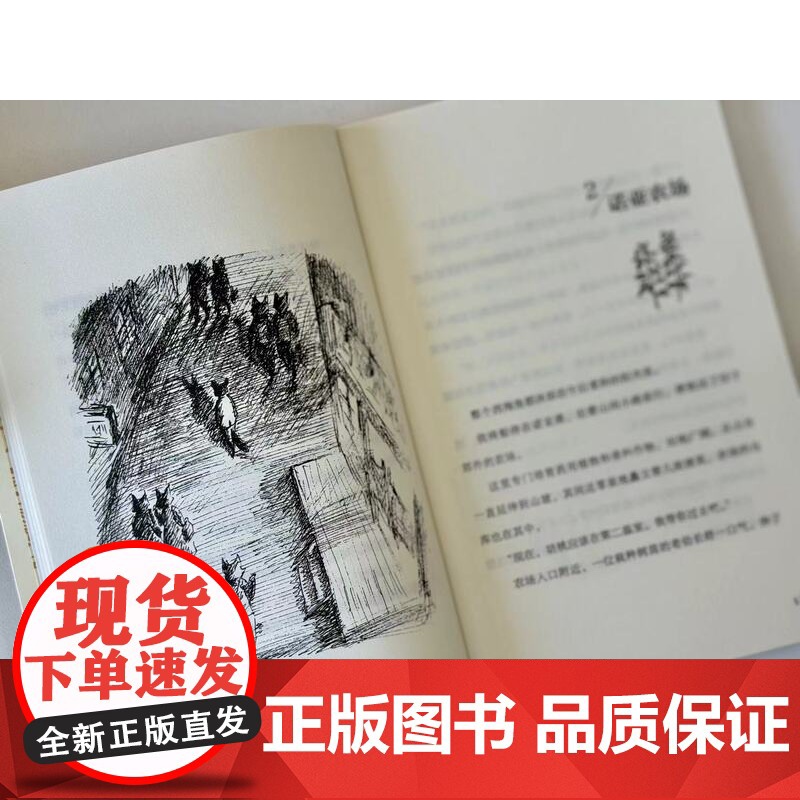 海猫的旅程·6-10 全5册 儿童文学 冒险故事 北京科学技术高清大图