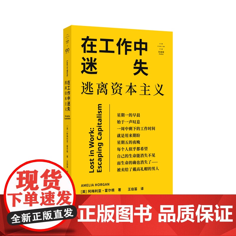 YS 在工作中迷失:逃离资本主义 阿梅利亚·霍尔根著 努力不一定带来满足,摸鱼可能有点道理 拆穿工作背后的谎言 上海文艺高清大图
