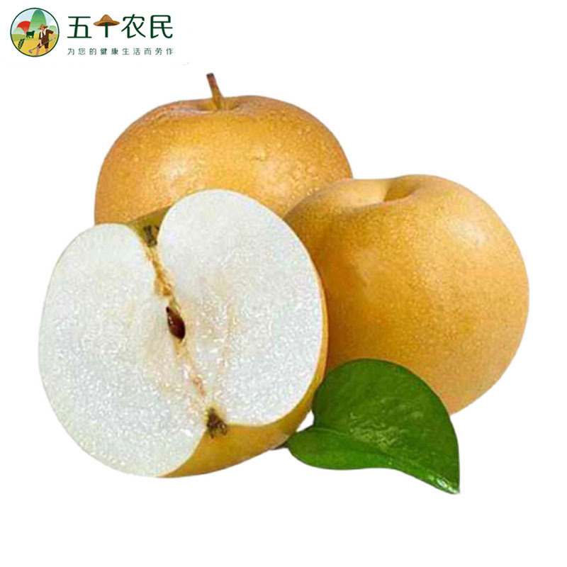 [五个农民]正宗山东秋月梨一级大果4-6枚装精品5斤装送礼佳品