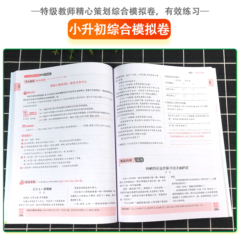 100篇 语文阅读题 小学升初中 [正版]全脑训练 小升初必刷100篇语文阅读题 小学语文阅读训练辅导练习册 小学六年级