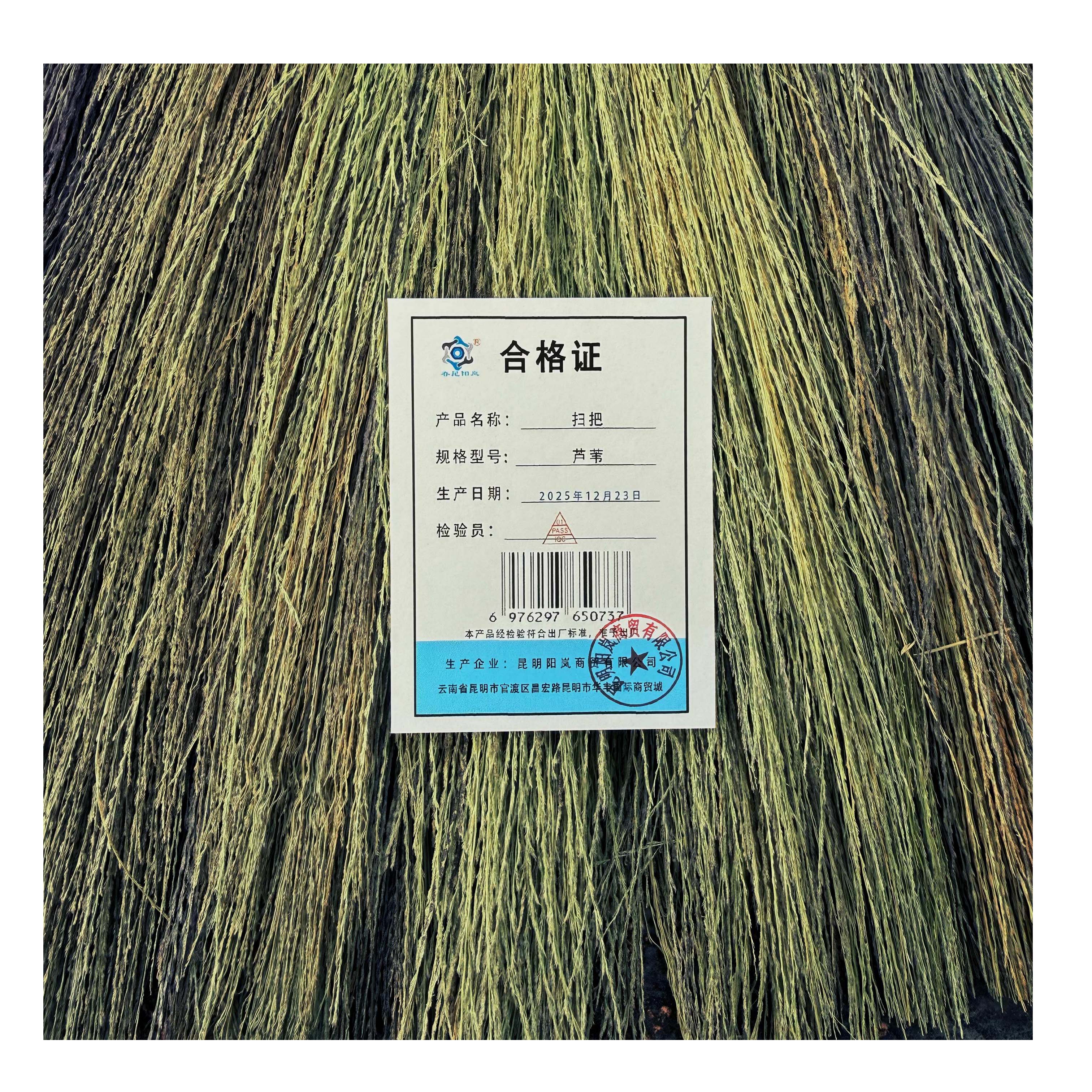 春昆阳岚扫把芦苇 把高清大图