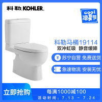 科勒KOHLER马桶 星玛龙分体五级旋风座便器 节水静音缓降坐便器K-77033T智能盖板4737套装