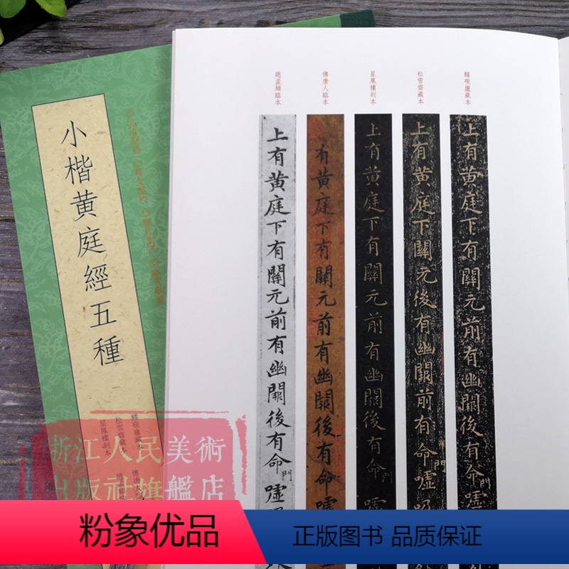 [正版]旗舰小楷黄庭经五种 王羲之小楷黄庭经版本条陈对比 赵孟頫藏本唐人临写本 中国书法教程书籍王羲之楷书毛笔字帖