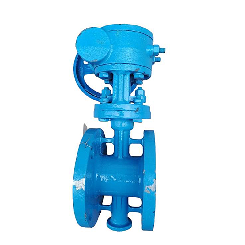 兴酉 铸钢涡轮硬密封法兰蝶阀 DN350 个高清大图