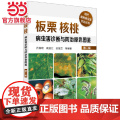 板栗核桃病虫害诊断与防治原色图鉴（第二版）
