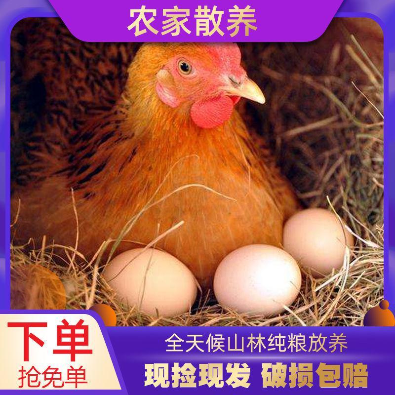 精选土鸡蛋50枚【超市装】 发50枚60枚土鸡蛋新鲜土鸡蛋散养农村正宗柴鸡蛋批发整箱甘鲜生