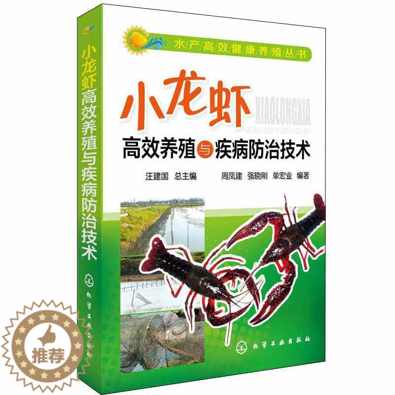 [醉染正版]小龙虾高效养殖与疾病防治技术 水产高效健康养殖丛书 小龙虾繁殖养殖技术高清大图