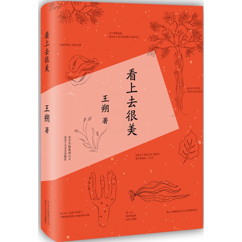 [正版] 看上去很美 王朔随笔集作品致女儿书我是你爸爸 爱情小说都市 情感小说中国现当代文学经典文学小说书籍高清大图