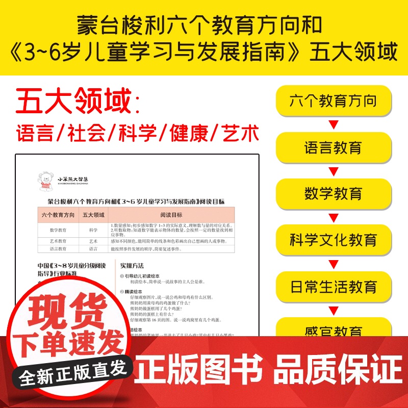 小笨熊分级阅读故事绘本3-4岁文字版 科学文化3册 分级绘本 幼儿园阅读高清大图