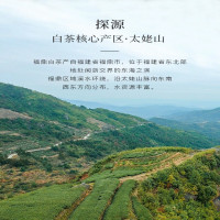 溪碧山福鼎白茶350g