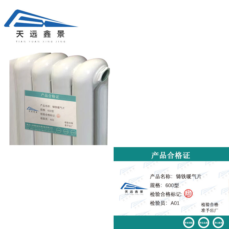 天远鑫景铸铁暖气片600型片高清大图