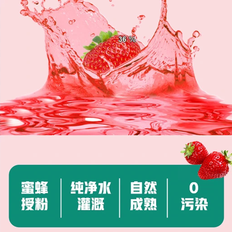 嘉十里现摘红颜草莓(26-34g) 大果1000g高清大图