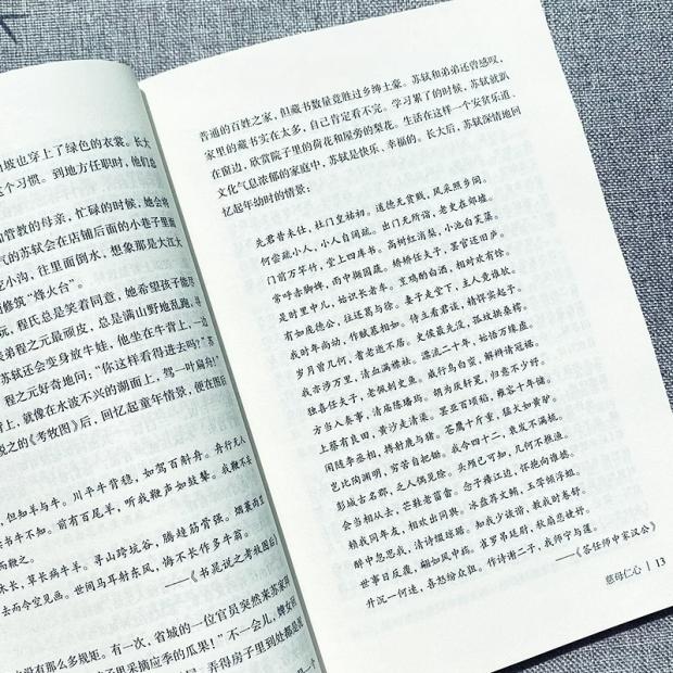 李白诗传 [正版] 苏东坡传 八年级课外阅读书目 苏轼自传诗词读本名人传记 初中生苏东坡新传历史类书籍学生课外书籍 苏轼高清大图