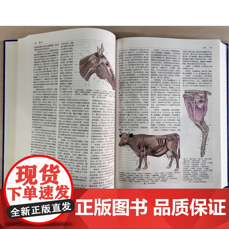 [央视网]中国大百科全书 第三版 兽医学 中国第一部全面系统介绍兽医学科知识的综合性百科全书 BK高清大图