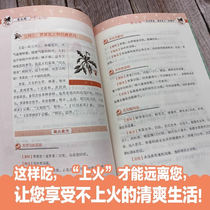 [正版]怎么吃不上火 食物食谱菜谱健康养颜日常饮食食谱菜谱食物怎么吃营养护理手册减肥瘦身养颜排毒养生食疗养护书