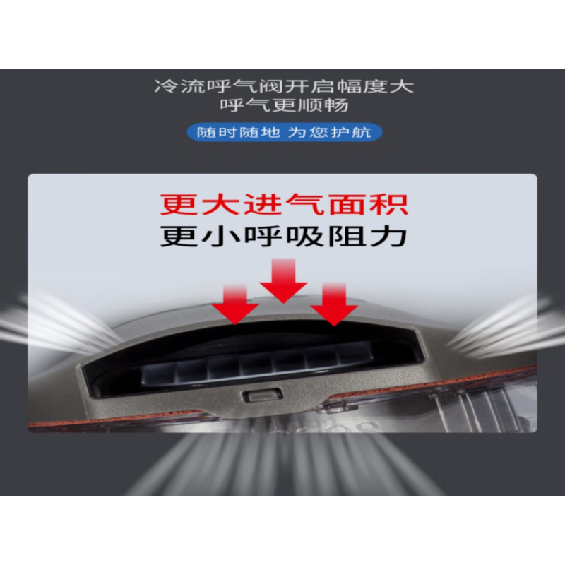 3M 全面型防护面罩 波兰版6800 个人防护 单位:个
