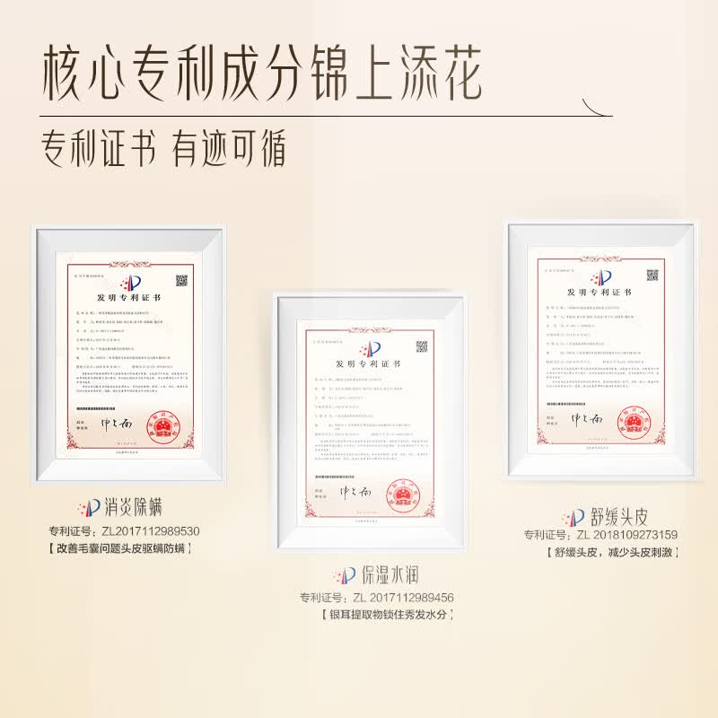 柏缇生姜护发洗发水蓬松洗头膏洗发露洗发液 500ml*1瓶 生姜洗发高清大图