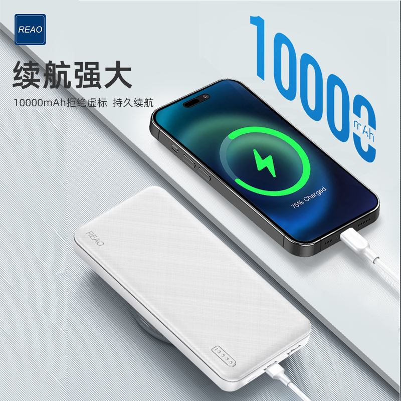 泺澳(REAO) 轻薄便携 移动电源C5(10000mAh)白色高清大图