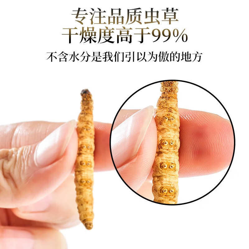 宝丰堂藏冬虫夏草干虫草大号新鲜干虫草纯肉节10克装