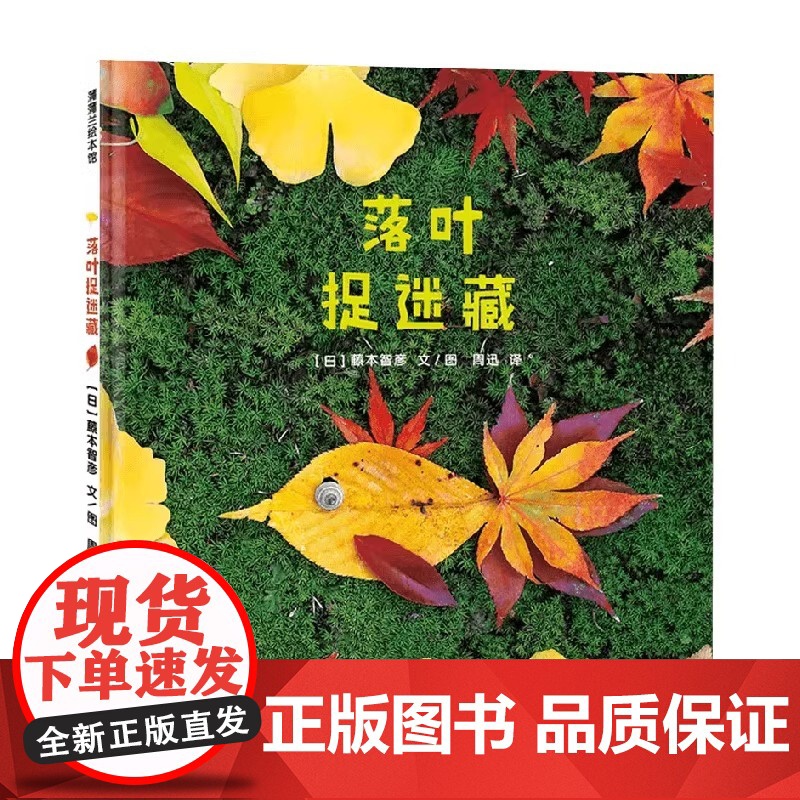 秋天主题系列落叶捉迷藏精装绘本2岁以上落叶搭建的各种造型的小动物锻炼小朋友们的想象力动手能力和立体思维蒲蒲兰正版童书高清大图