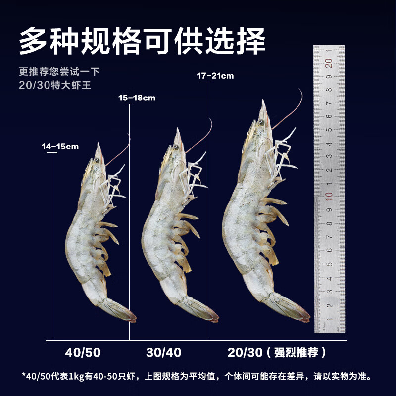 活对虾 袋装500g高清大图