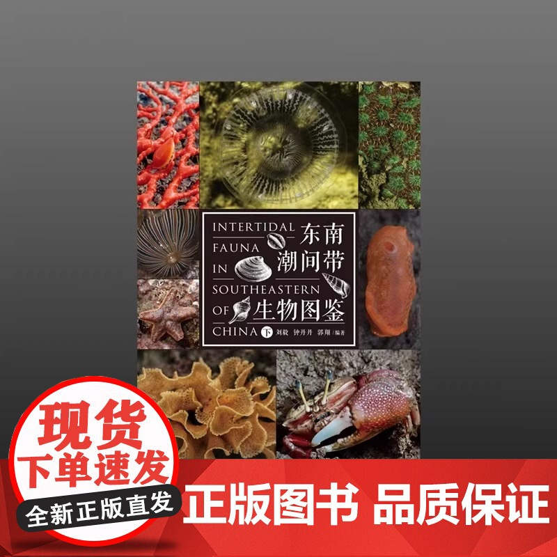 正版 东南潮间带生物图鉴 海峡书局 海洋生物赶海手册 赶海指南海洋生物图鉴海洋生态环境中国螃蟹 科普百科水生动物图谱