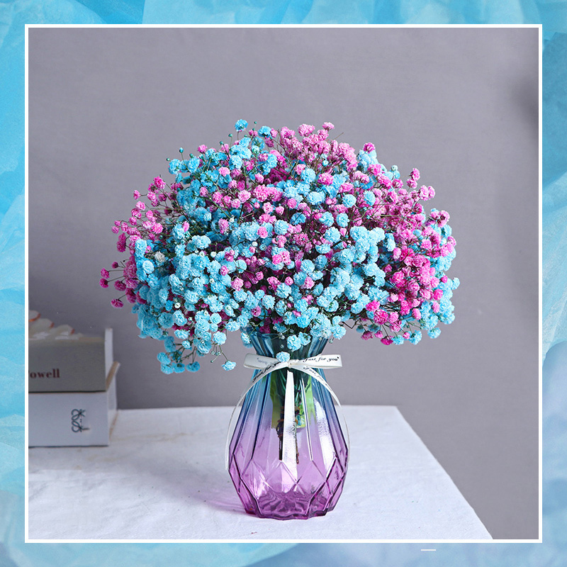 满天星花束干花干鲜花真花摆件客厅装饰插花大束 粉 白 蓝满天星大束 不含瓶 报价 参数 图片 视频 怎么样 问答 苏宁易购