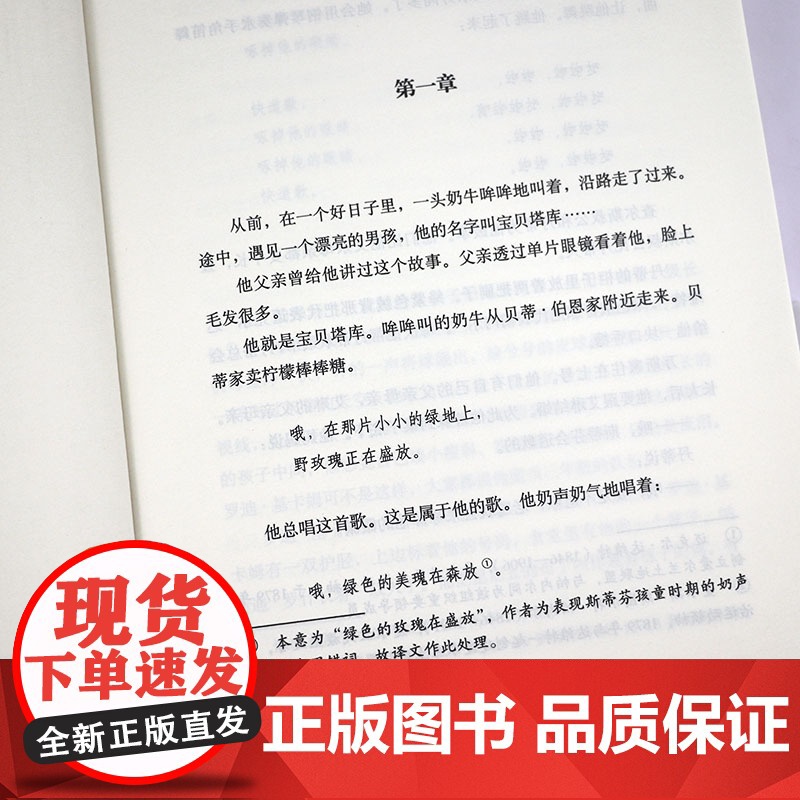 一个青年艺术家的画像 詹姆斯乔伊斯著二十世纪百大英文小说自传体小说书籍高清大图