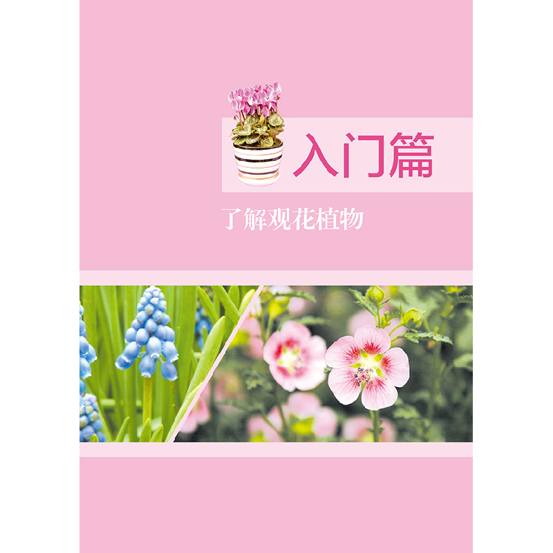 正版新书]观花植物栽培百科图鉴吴棣飞9787557852665高清大图